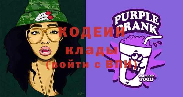 прущие грибы Новозыбков