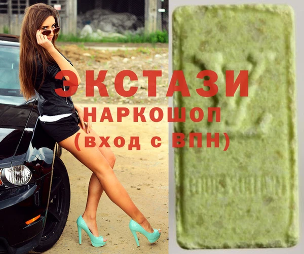 прущие грибы Новозыбков