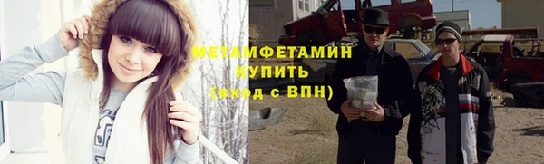 прущие грибы Новозыбков