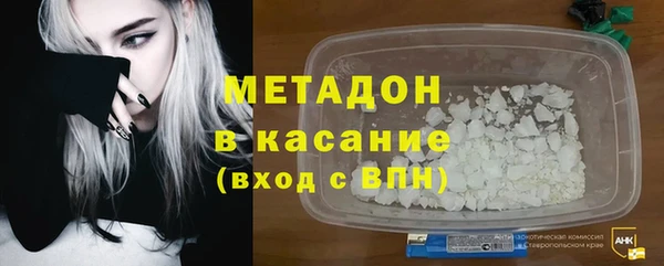 прущие грибы Новозыбков