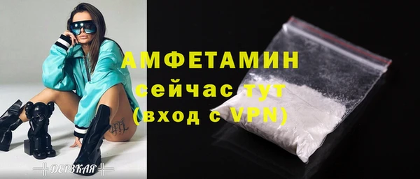 прущие грибы Новозыбков