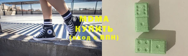 прущие грибы Новозыбков