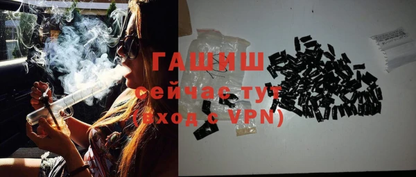 прущие грибы Новозыбков