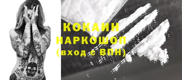 прущие грибы Новозыбков