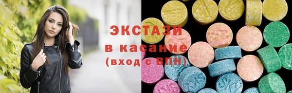прущие грибы Новозыбков