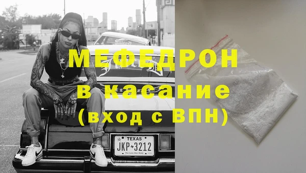 прущие грибы Новозыбков