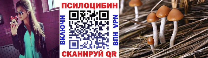 цена наркотик  Раменское  Псилоцибиновые грибы Psilocybe 