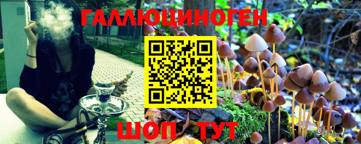 Псилоцибиновые грибы MAGIC MUSHROOMS  Галлюциногенные грибы Psilocybine cubensis  Вход с VPN  Раменское 